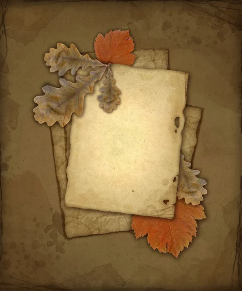 Altes Papier mit Blättern, herbstlicher Hintergrund — Stockfoto