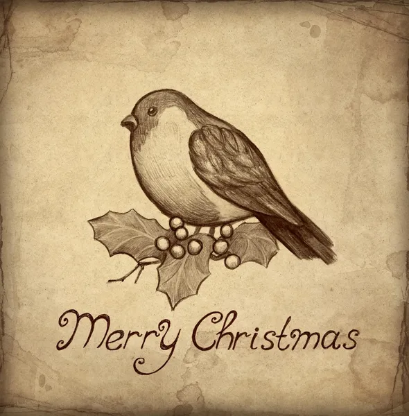 Christmas greeting card with illustration of bullfinch — Stock Photo, Image