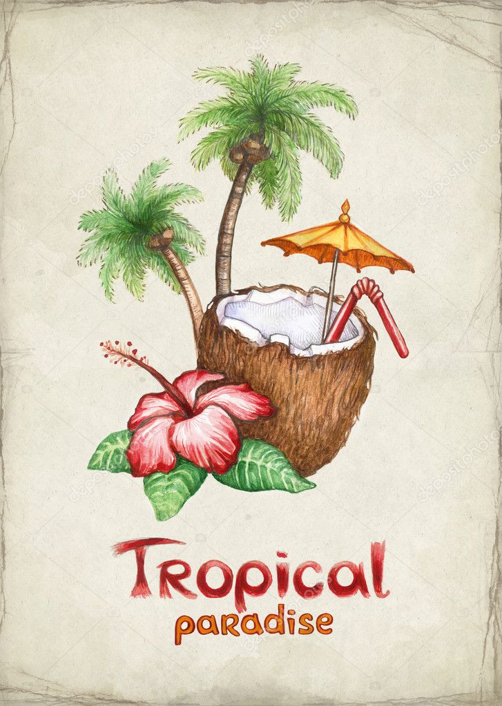Watercolor illustration of coconut cocktail