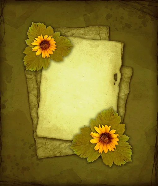 Starý papír se květiny a zelené listy — Stock fotografie