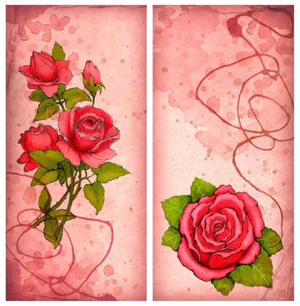 Tarjetas con dibujo de rosa — Foto de Stock