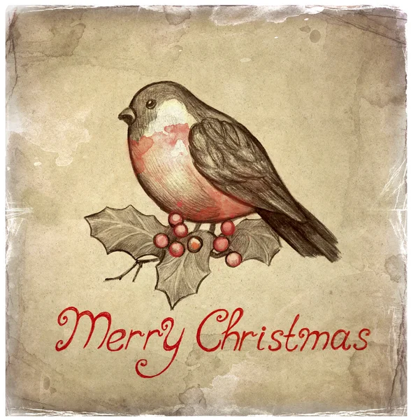 Christmas greeting card with illustration of bullfinch — Stock Photo, Image
