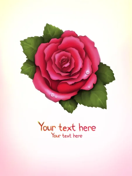 Фон з ілюстрацією рожевої троянди — стокове фото