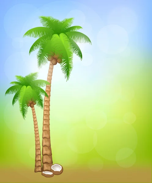 Achtergrond met palmen — Stockvector