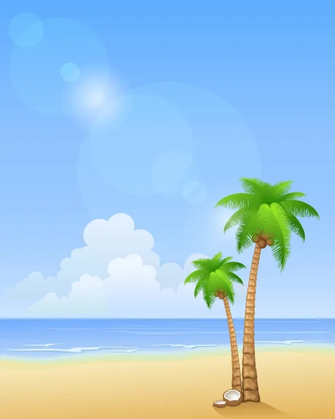 Summer beach with palms — Stock Vector