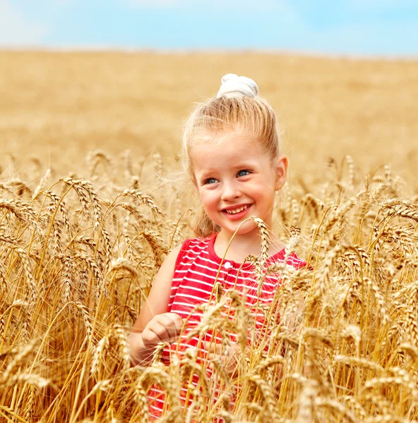 Çocuk buğday alanı. — Stok fotoğraf