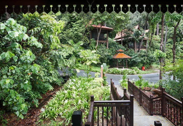 Ośrodek zdrowia w zieleni lasu deszczowego. — Zdjęcie stockowe