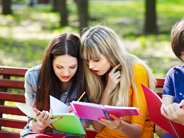 Estudante de grupo com livro ao ar livre . — Fotografia de Stock