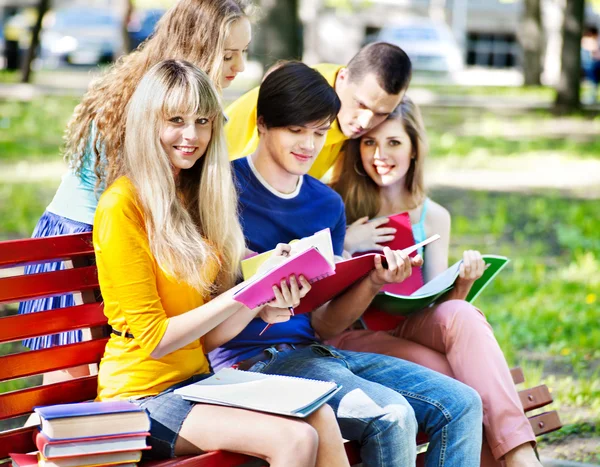 Étudiant de groupe avec ordinateur portable en plein air . — Photo
