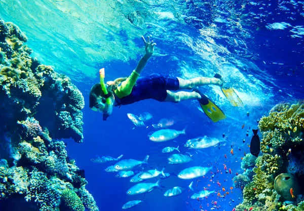 Kind duiker met groep koraal vissen. — Stockfoto