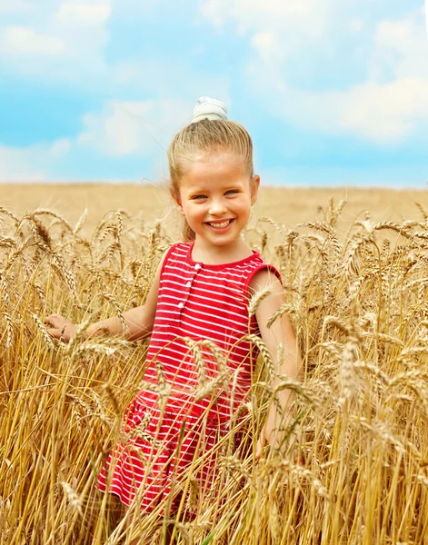 Dítě v pšeničné pole. — Stock fotografie