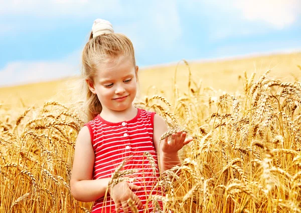 Ребенок на пшеничном поле . — стоковое фото