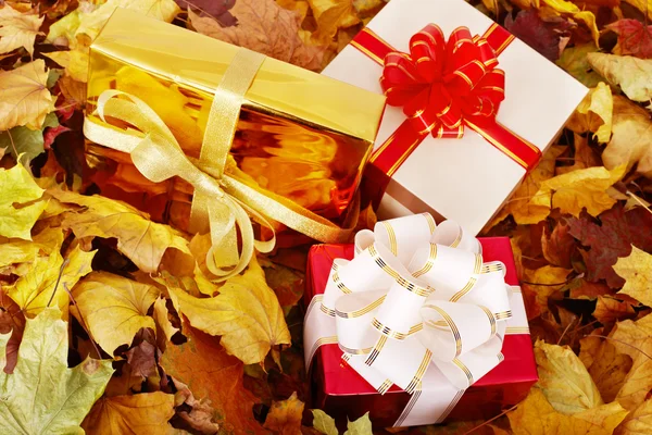 Bodegón de otoño con caja de regalo de grupo . —  Fotos de Stock