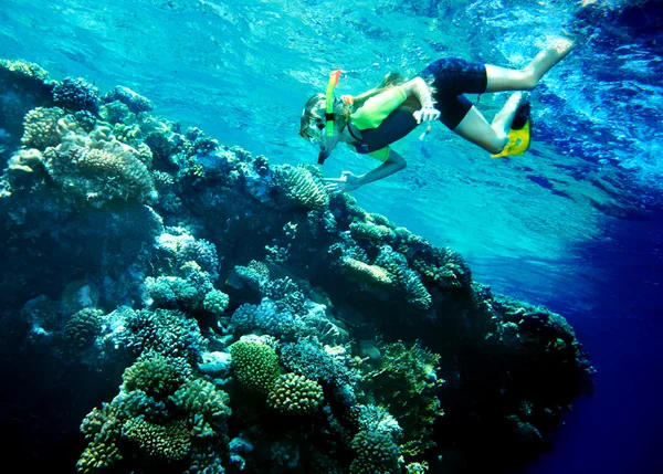 Enfant plongeur avec groupe de poissons corail . — Photo
