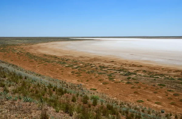 stock image Saline soil