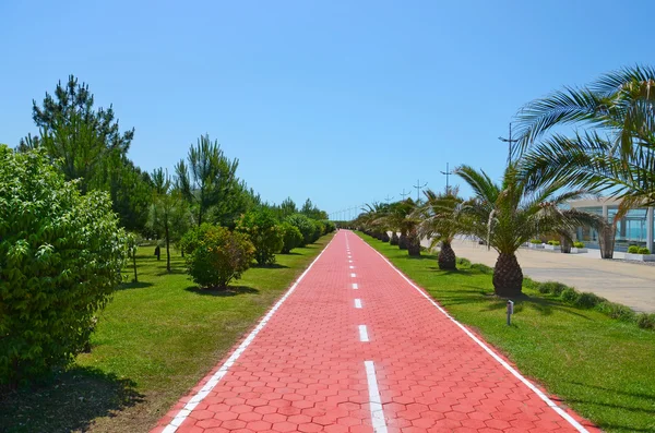 stock image Park running track