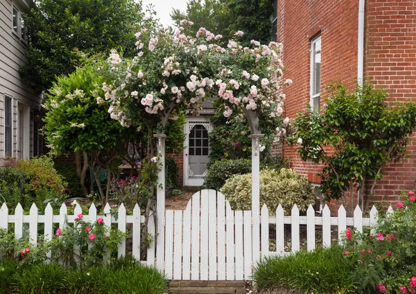 Wild flowers growing over white picket fence — Stock Photo, Image