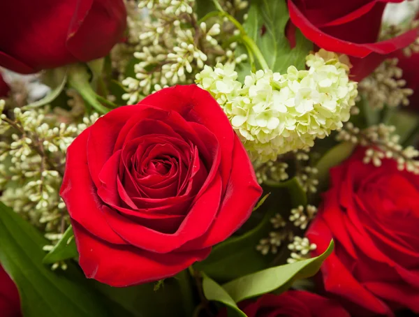 Κοντινό πλάνο κόκκινη ροδαλή ανθοδέσμη με τριαντάφυλλα — Φωτογραφία Αρχείου