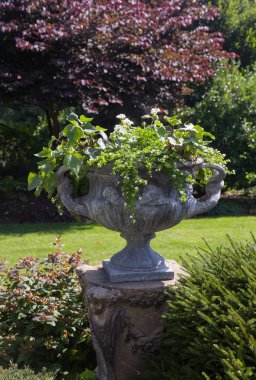 Large stone urn with plants in english garden clipart