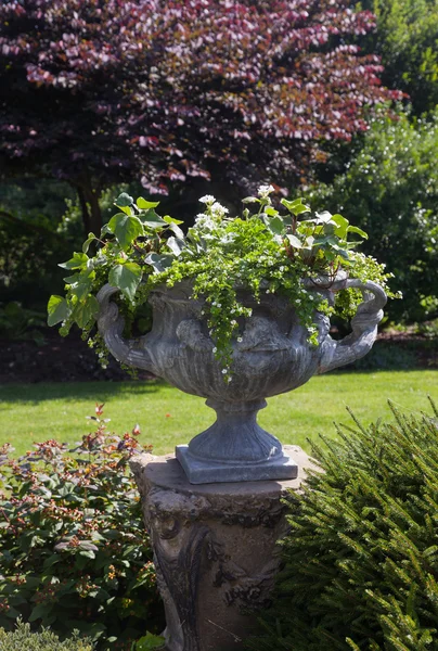 Большая каменная урна с растениями в английском саду — стоковое фото