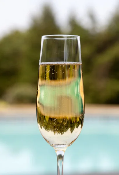 Flûte de champagne froid au bord de la piscine — Photo