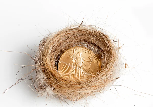 Aves isoladas ninho com moeda de ouro — Fotografia de Stock