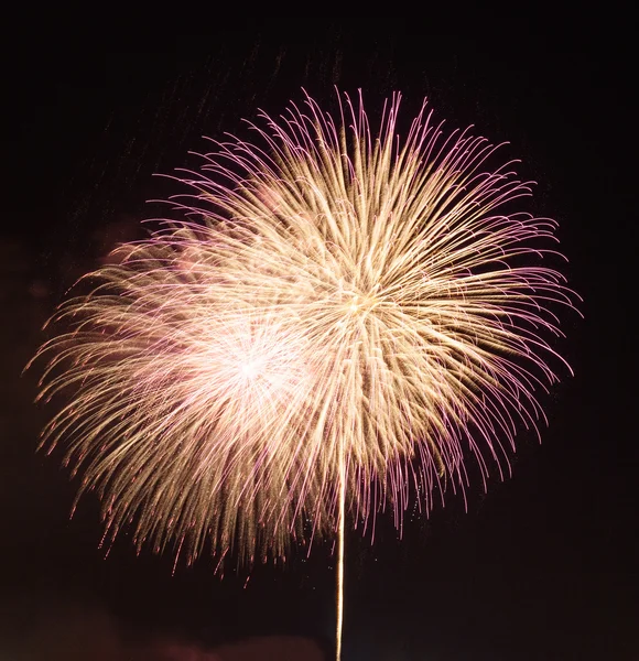 Fireworks in dark sky ready for isolation — Stock Photo, Image