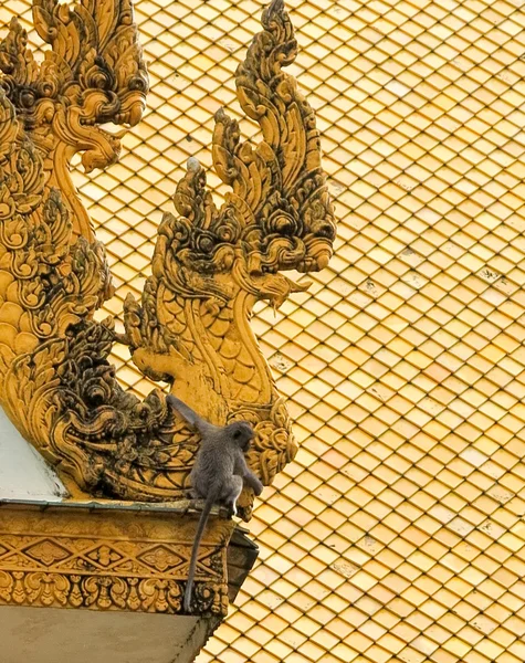 Edificios adornados en Palacio Real Camboya —  Fotos de Stock