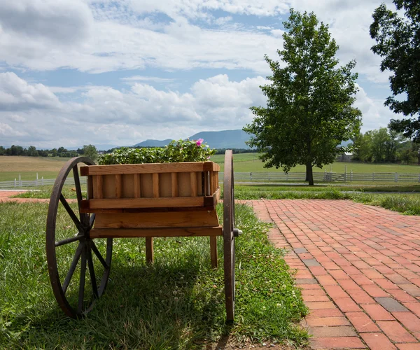Vagn med blommor i landsbygdens landskap — Stockfoto