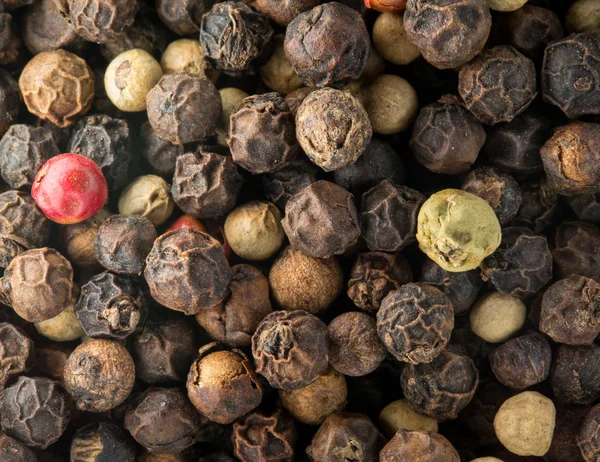 stock image Macro photo of mixed red, white and black peppercorn seeds