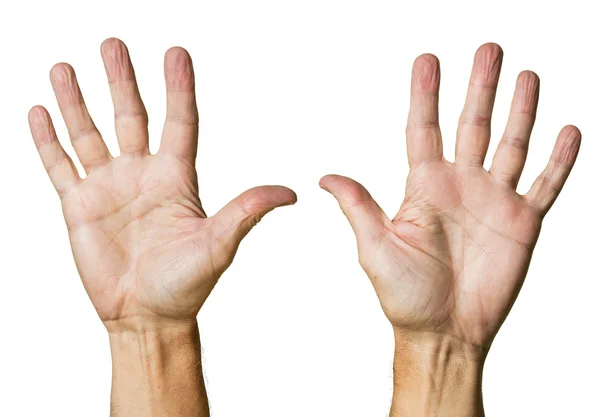 Paar hochrangiger kaukasischer Hände — Stockfoto