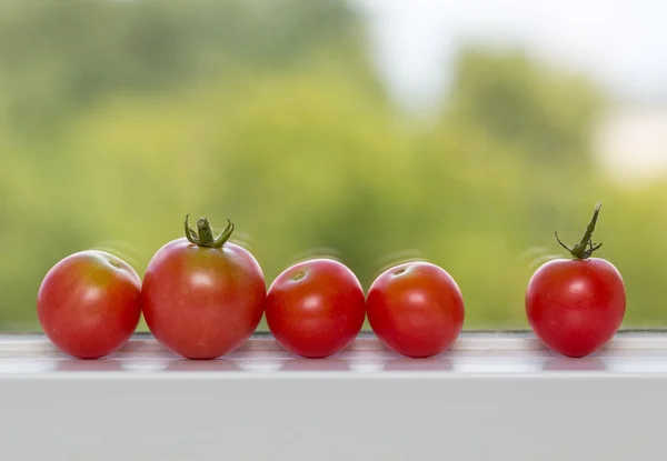 Row of tomatoes on window sill — Stock Photo, Image