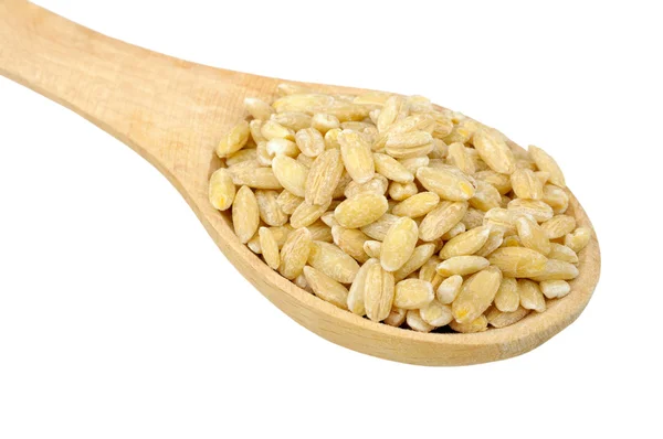 Pearl barley in wooden spoon — Stock Photo, Image