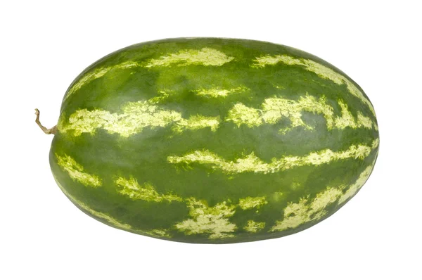Lange Wassermelone — Stockfoto