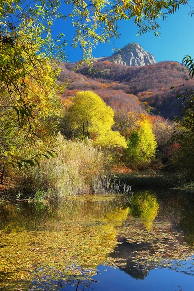 stock image Lake