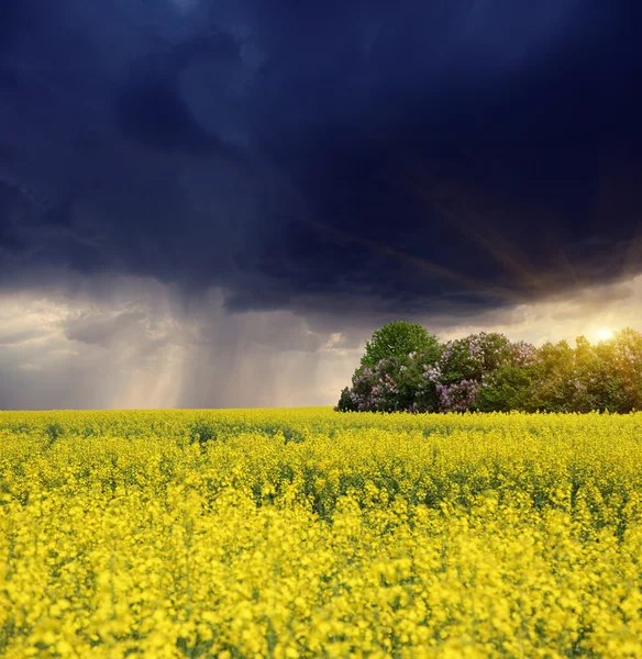 stock image Storm