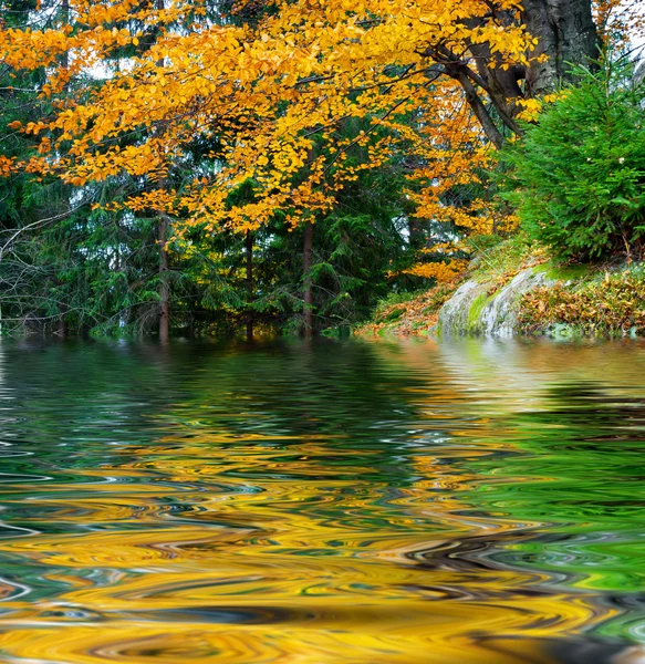 Herbst — Stockfoto