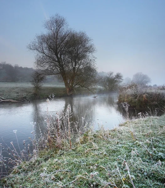 stock image River