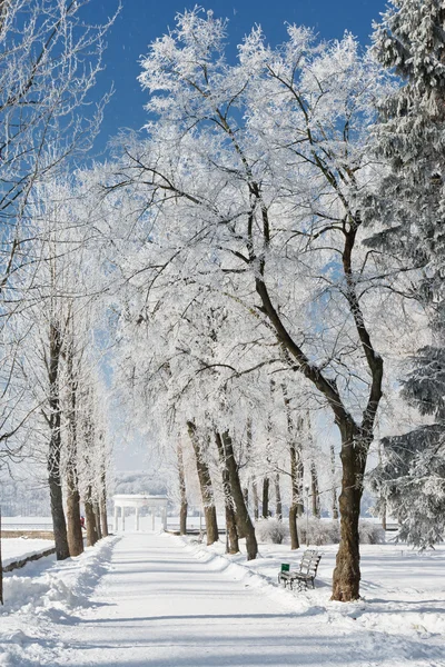 Inverno — Foto Stock