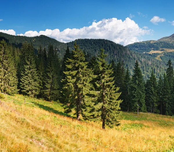 Hory krajina — Stock fotografie