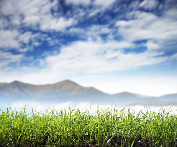 Bergen landschap — Stockfoto