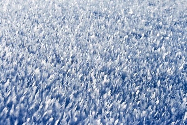 พื้นหลังหิมะ — ภาพถ่ายสต็อก