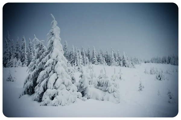 Χειμώνας — Φωτογραφία Αρχείου