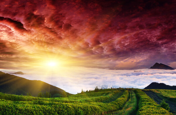 Morning in mountains