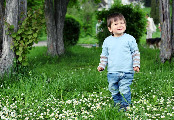 Happy little boy — Stock Photo, Image