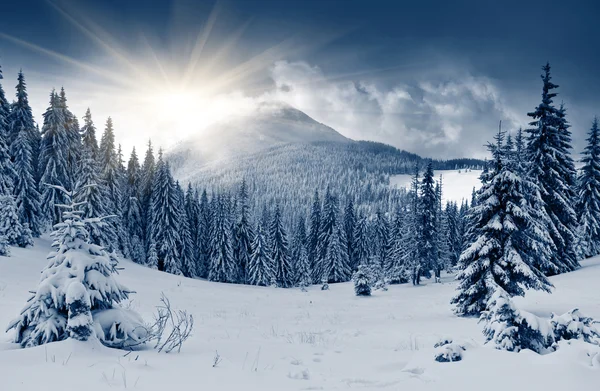 Inverno Imagens Royalty-Free