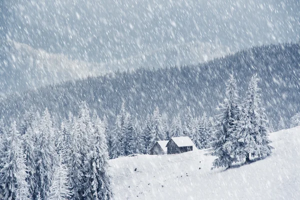 冬季在山中 — 图库照片