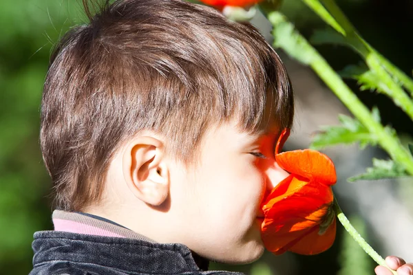 Malý kluk voní divoká květina. — Stock fotografie