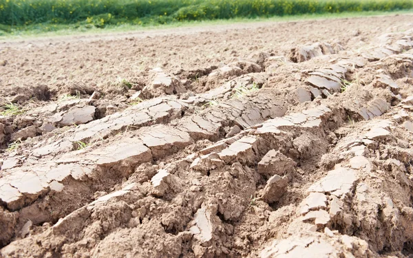 Культивированная сельскохозяйственная почва пахотного поля — стоковое фото
