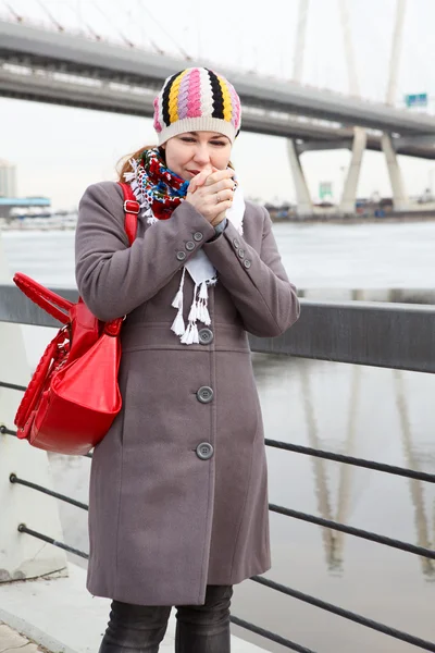 Portrait de surgelés jeune femelle caucasienne réchauffement des mains et debout sur le remblai. pont sur le fond — Photo